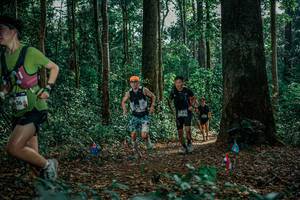 BIB: 
                            <button type="button" onclick="openModal(26129085)" class="btn btn-primary btn-sm float-right btn-popup" data-toggle="modal" data-target=".modal-high-quality">
                        <i class="fas fa-shopping-cart"></i> Add to Cart
                    </button>
                                            <button type="button" onclick="isThisMe(26129085, true)" class="btn btn-success btn-sm float-right btn-popup btn-isme hidden" data-toggle="tooltip" data-placement="bottom" title="นี่คือรูปของคุณใช่ไหม คลิกที่นี่เพื่อเอาเข้าอัลบั้ม">
                        <i class="fas fa-plus"></i> Add to album
                    </button>
                    <button type="button" onclick="isThisMe(26129085, false)" class="btn btn-warning btn-sm float-right btn-popup btn-isnotme hidden">
                        <i class="fas fa-ban"></i> Remove from album
                    </button>